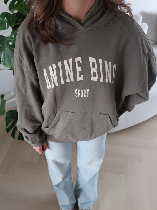 Anine Bing